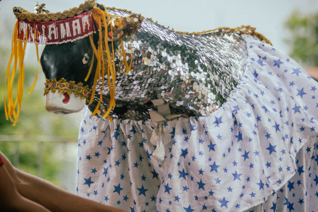 FT-JOAOPALHARES-5